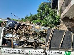 Best Basement Cleanout  in Lester Prairie, MN